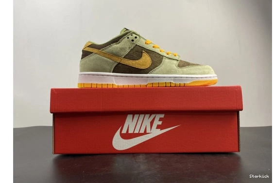 DH5360-300 Olive Nike Low Dusty Dunk 1003